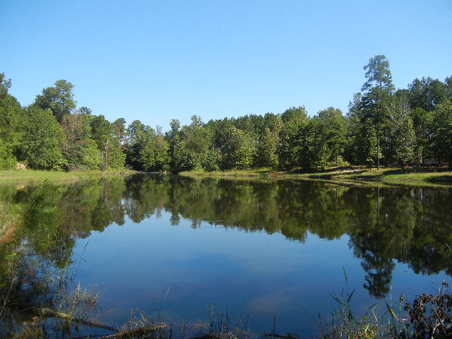 Kia Of Greenville >> 191 Acres With Pond, Meriwether County, GA Kia Of Greenville >> 191 Acres With Pond, Meriwether County, GA